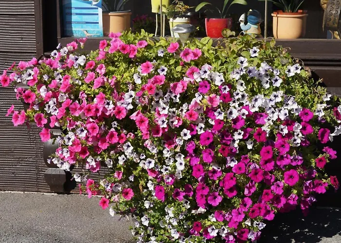 Karwendelblick Apartment *